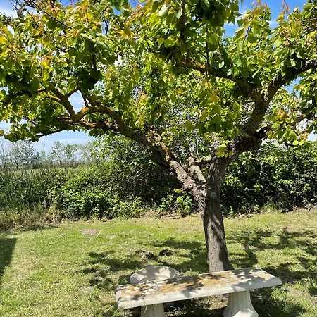 Manade Bec Saintes-Maries-de-la-Mer